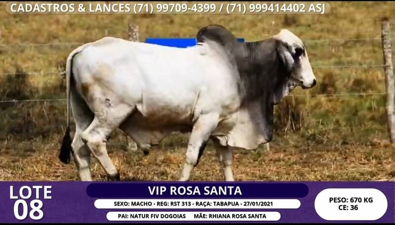 Foto VIP ROSA SANTA