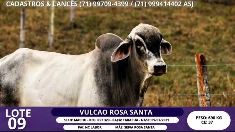 Foto VULCAO ROSA SANTA