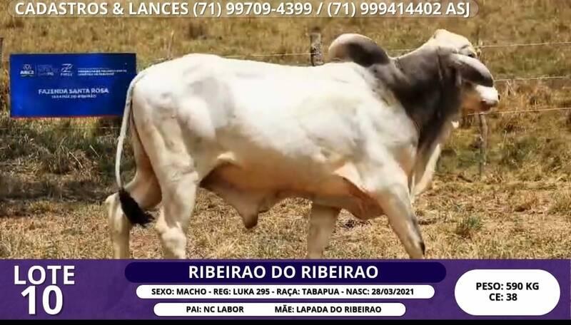 Foto RIBEIRAO DO RIBEIRAO