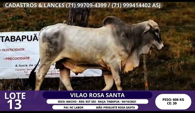 Foto VILAO ROSA SANTA
