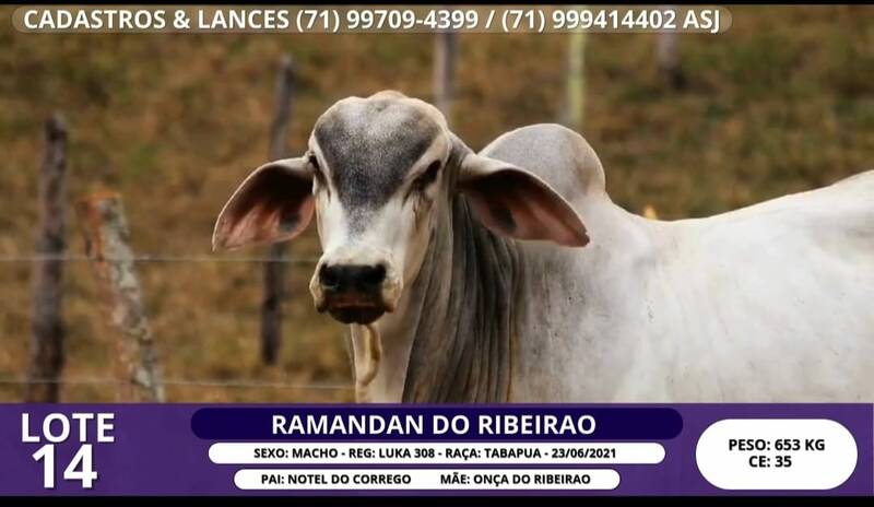 Foto RAMANDAN DO RIBEIRAO