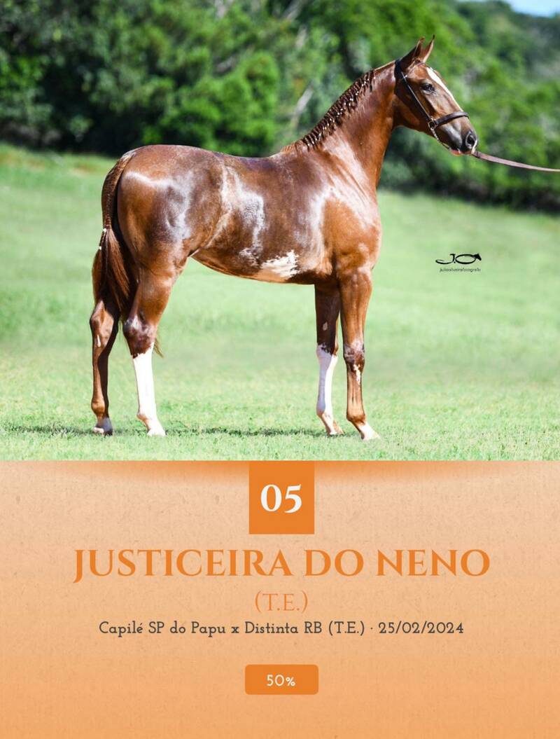 Foto (50.0%)  JUSTICEIRA DO NENO (T.E.)