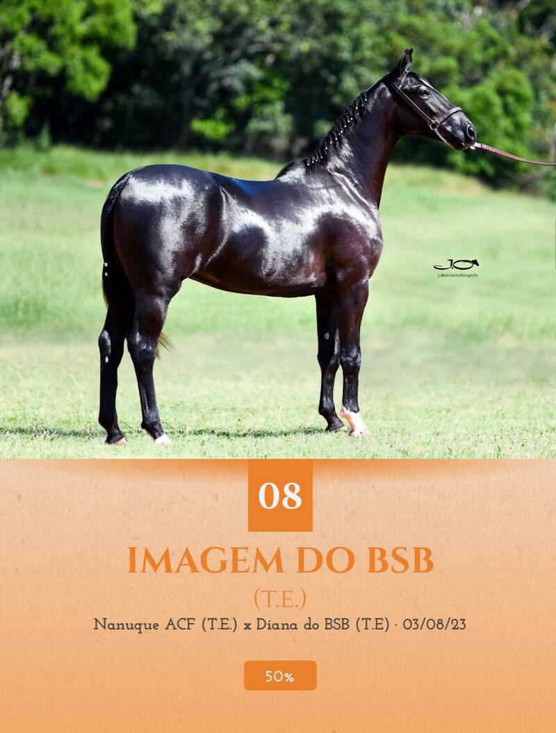 Foto (50.0%) IMAGEM DO BSB (T.E.)