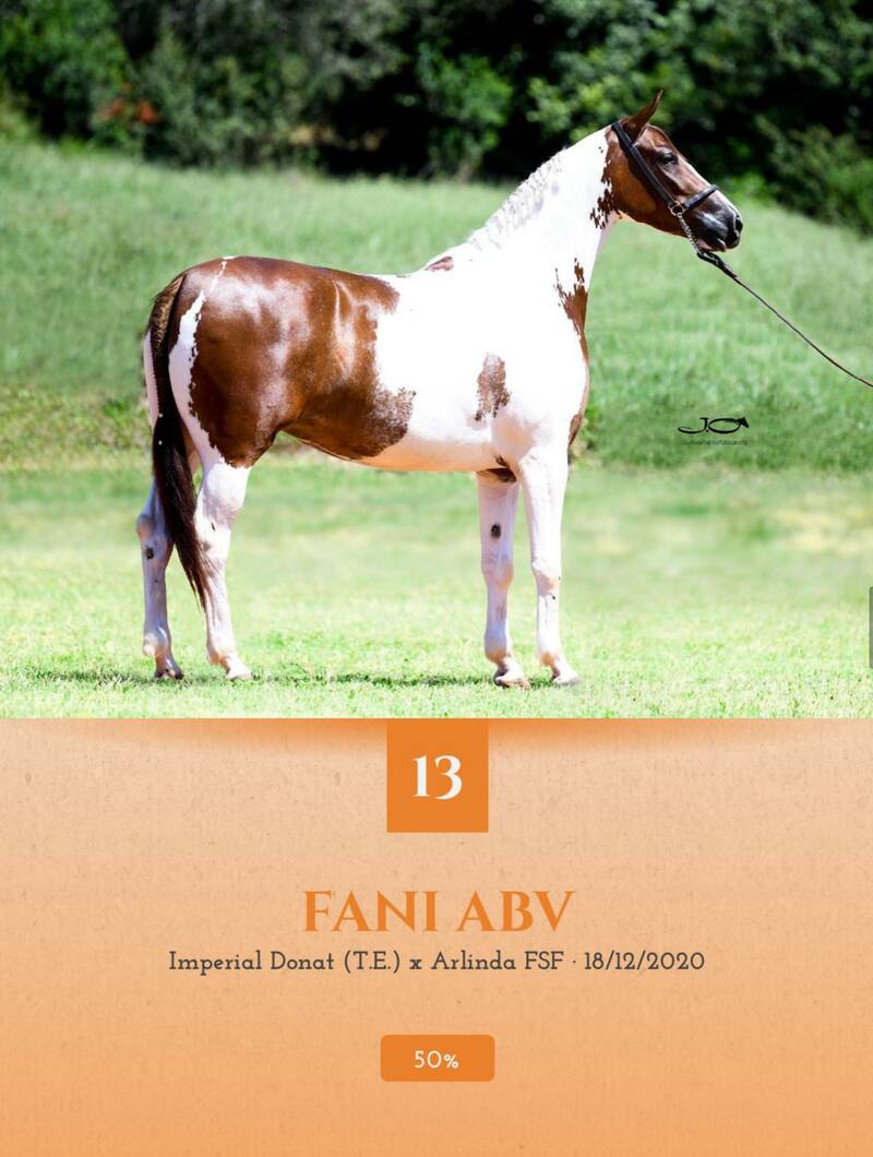 Foto (50.0%) FANI ABV