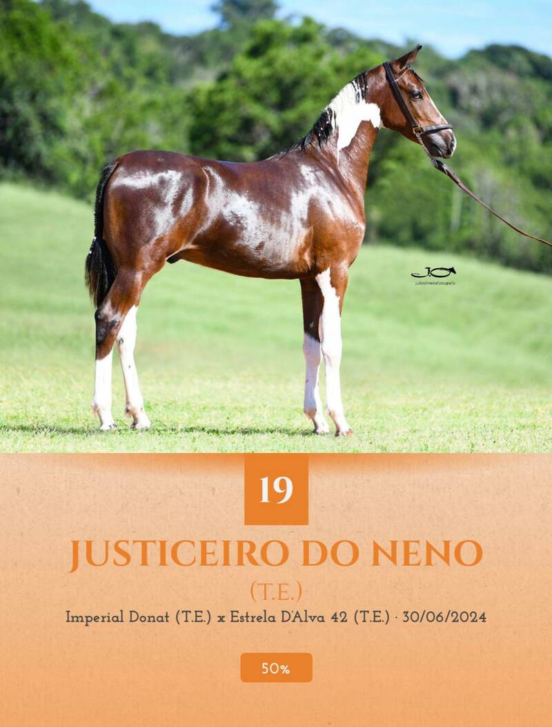 Foto (50.0%) JUSTICEIRO DO NENO (T.E.)