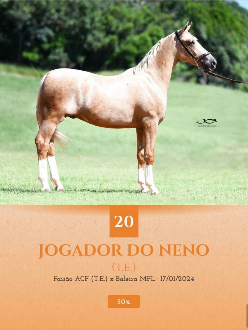 Foto (50.0%) JOGADOR DO NENO (T.E.)