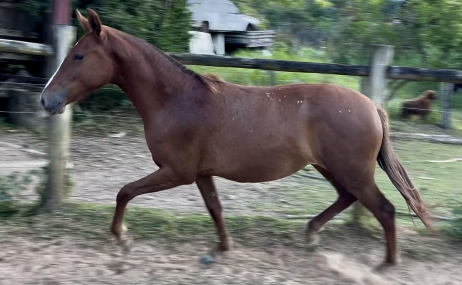 Foto ELEGÂNCIA CENTRAL DO MARCHADOR