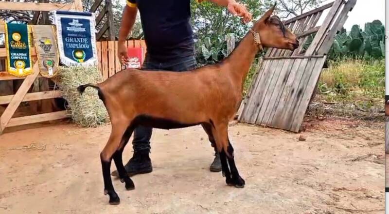 Foto RIACHO SALGADO NAYARA