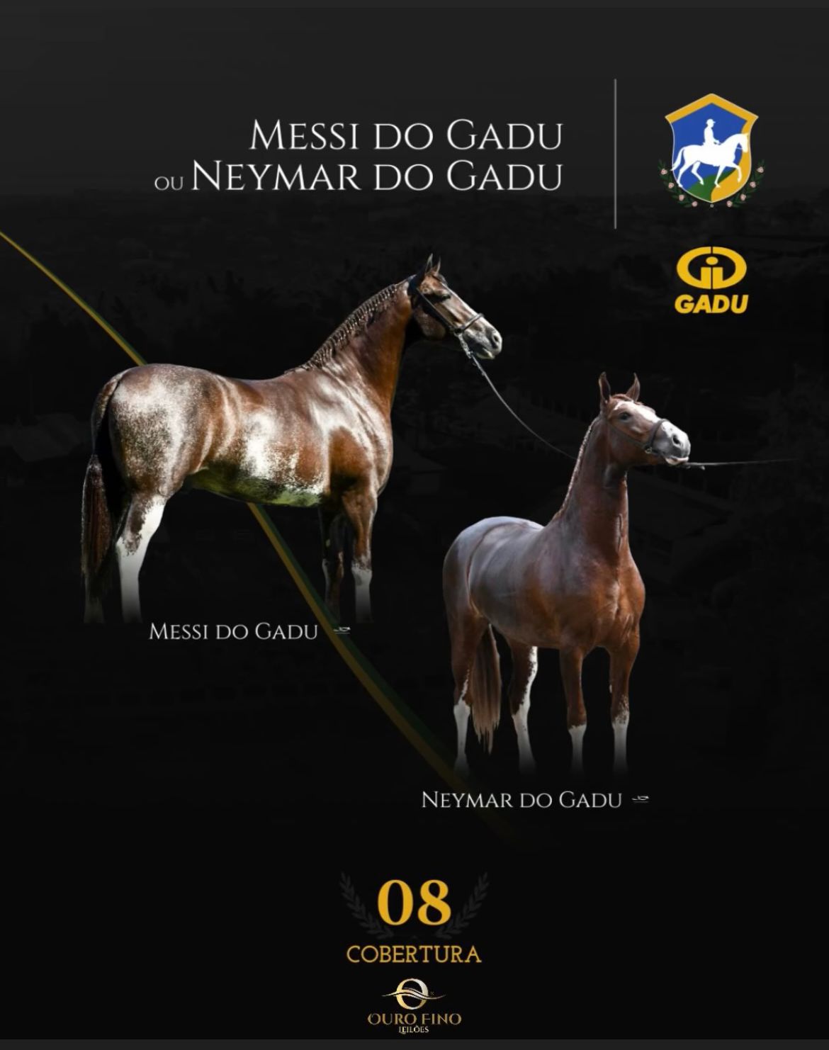 Foto COBERTURA MESSI DO GADU OU NEYMAR DO GADU