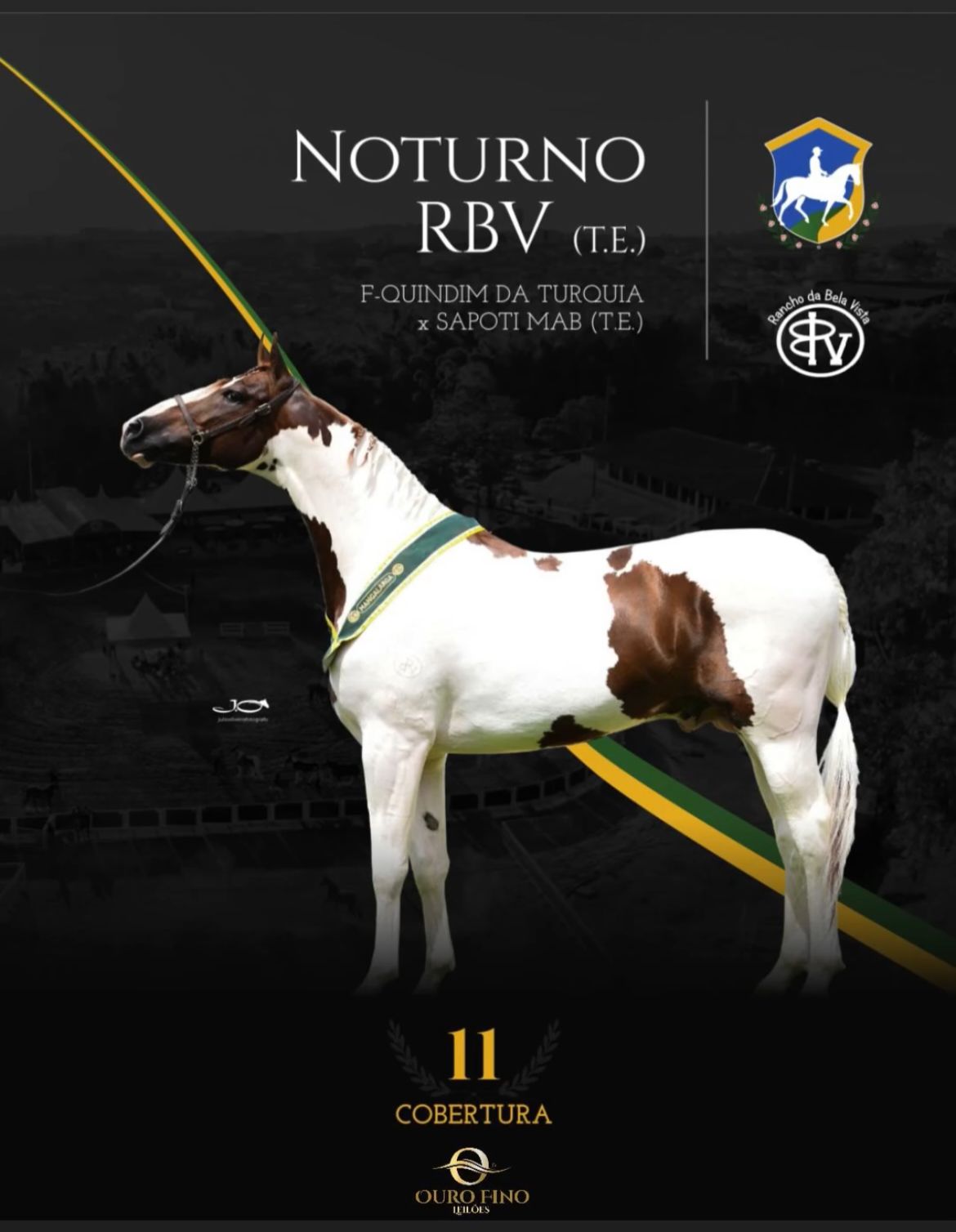 Foto COBERTURA NOTURNO RBV (T.E.)