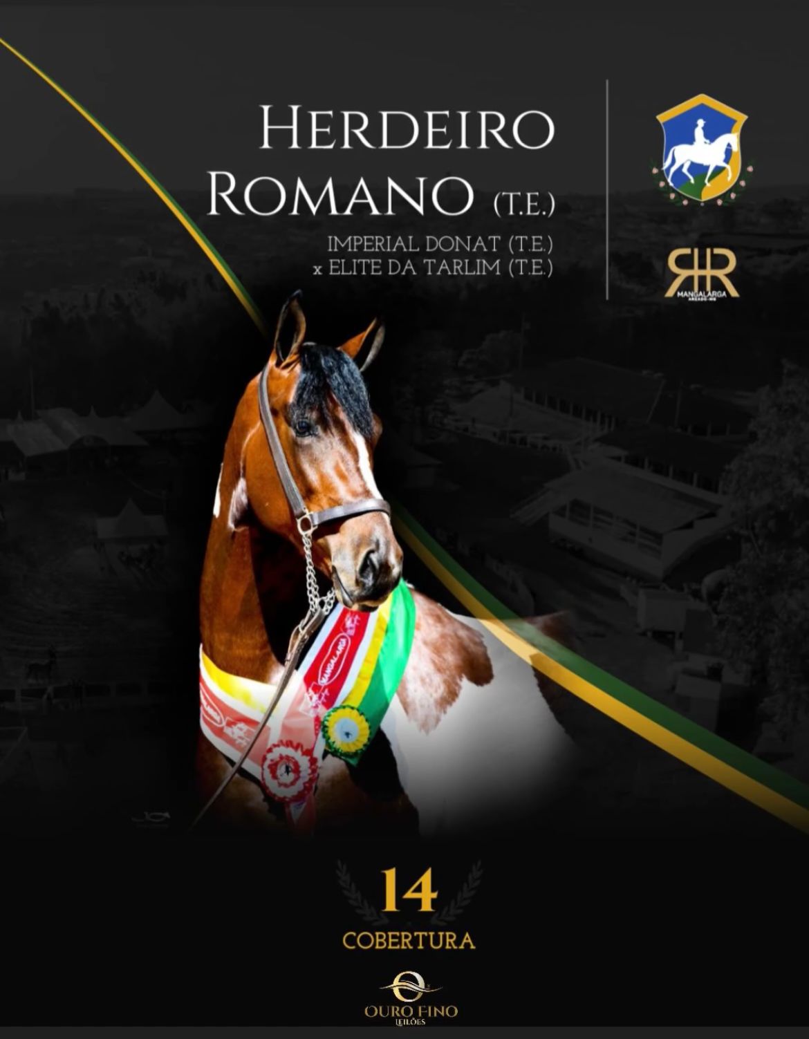Foto COBERTURA HERDEIRO ROMANO (T.E.)