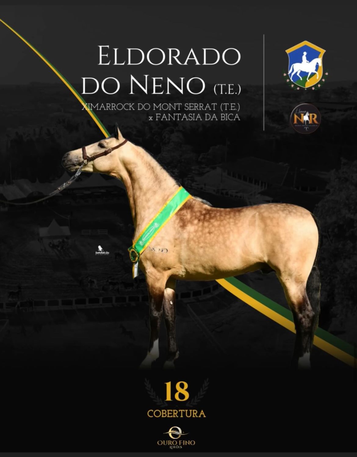 Foto COBERTURA ELDORADO DO NENO (T.E.)