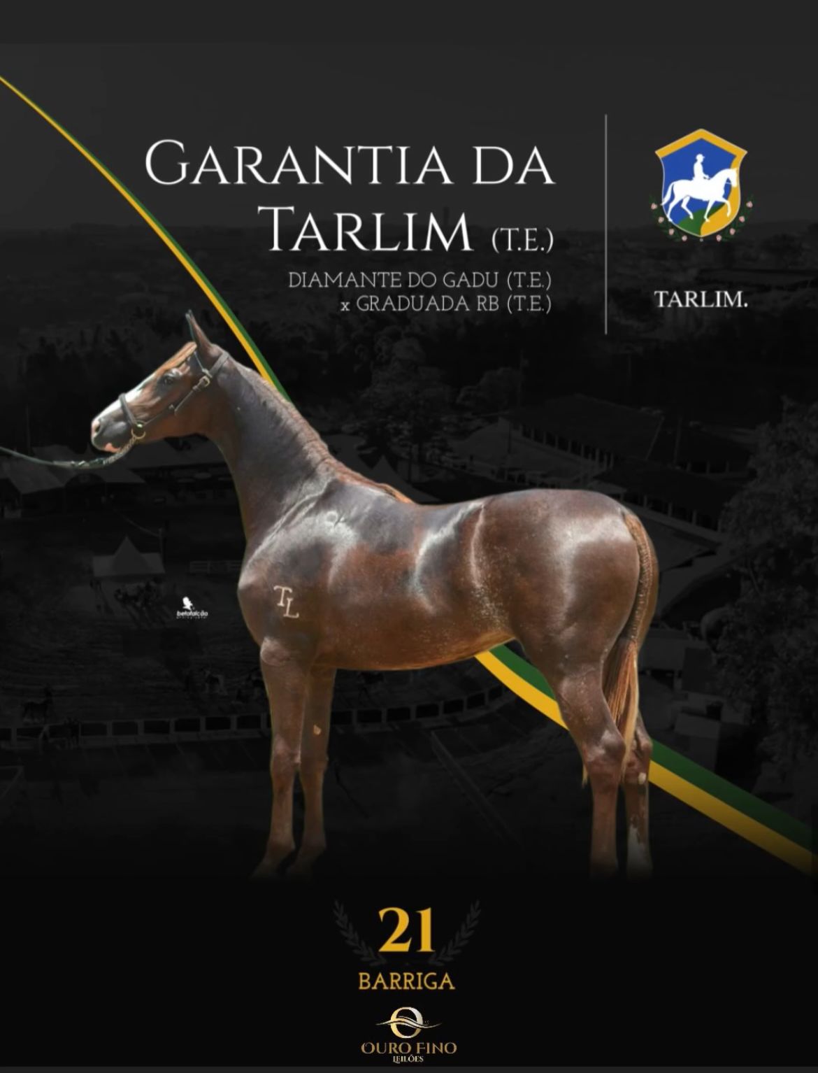 Foto BARRIGA GARANTIA DA TARLIM (T.E.)