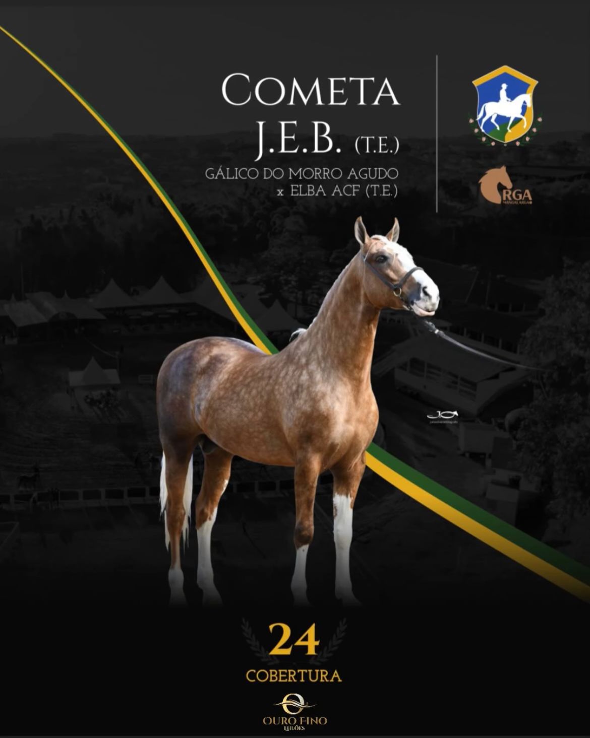 Foto COBERTURA COMETA J.E.B. (T.E.)