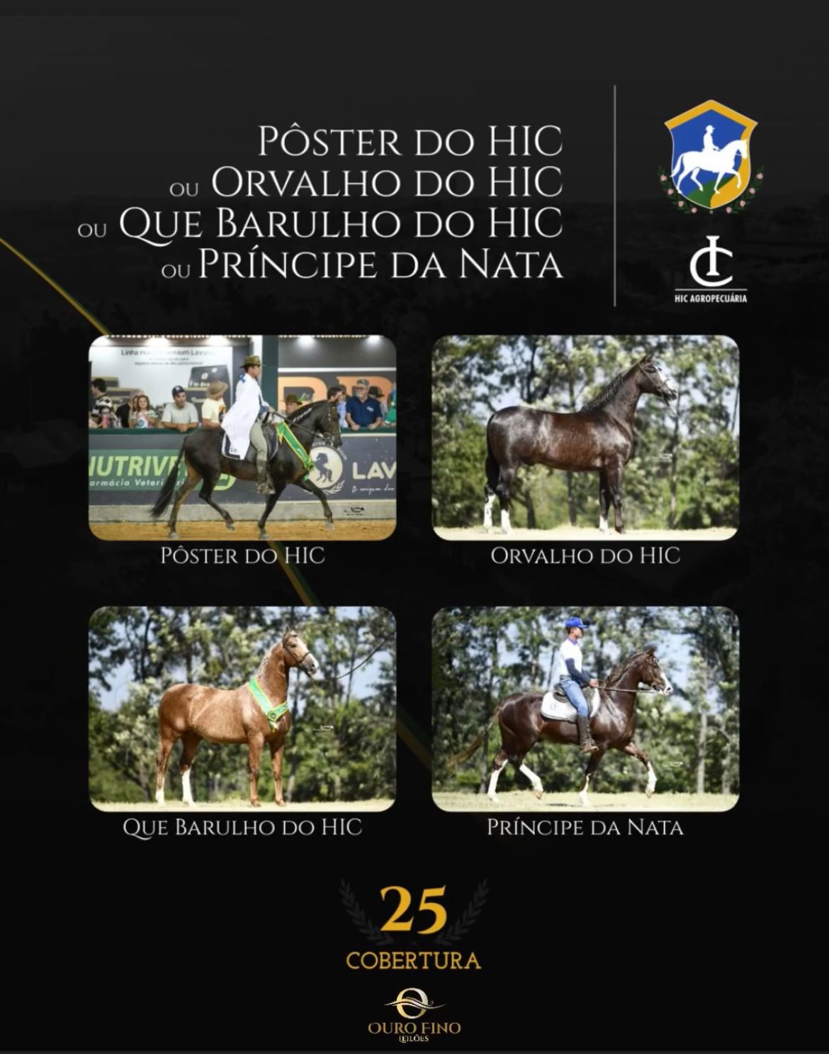 Foto COBERTURA PÔSTER DO HIC OU ORVALHO DO HIC OU QUE BARULHO DO HIC OU PPRÍNCIPE DA NATA