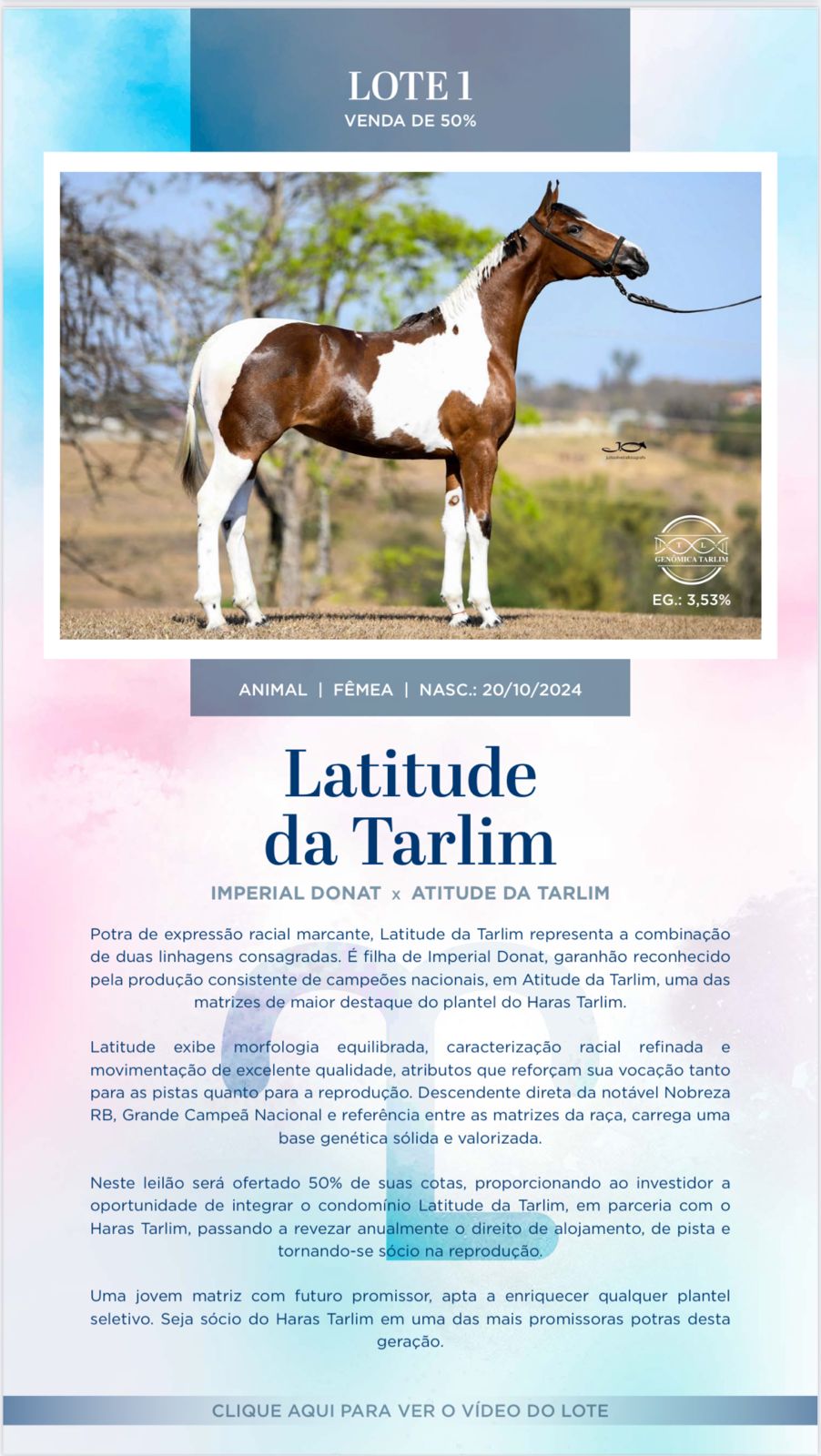 Foto LATITUDE DA TARLIM