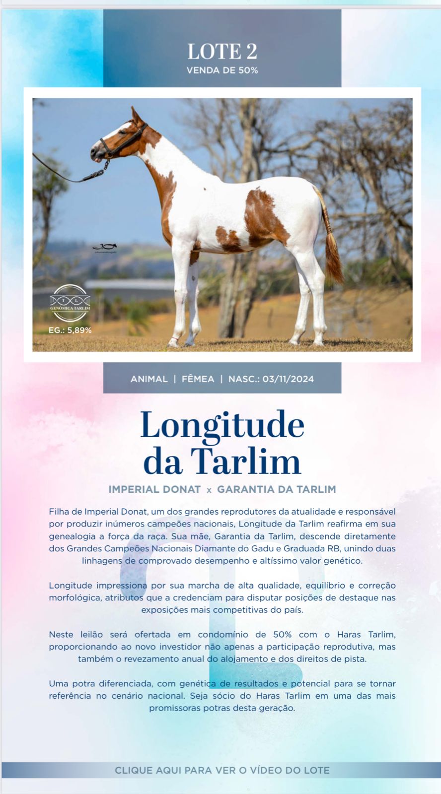 Foto LONGITUDE DA TARLIM
