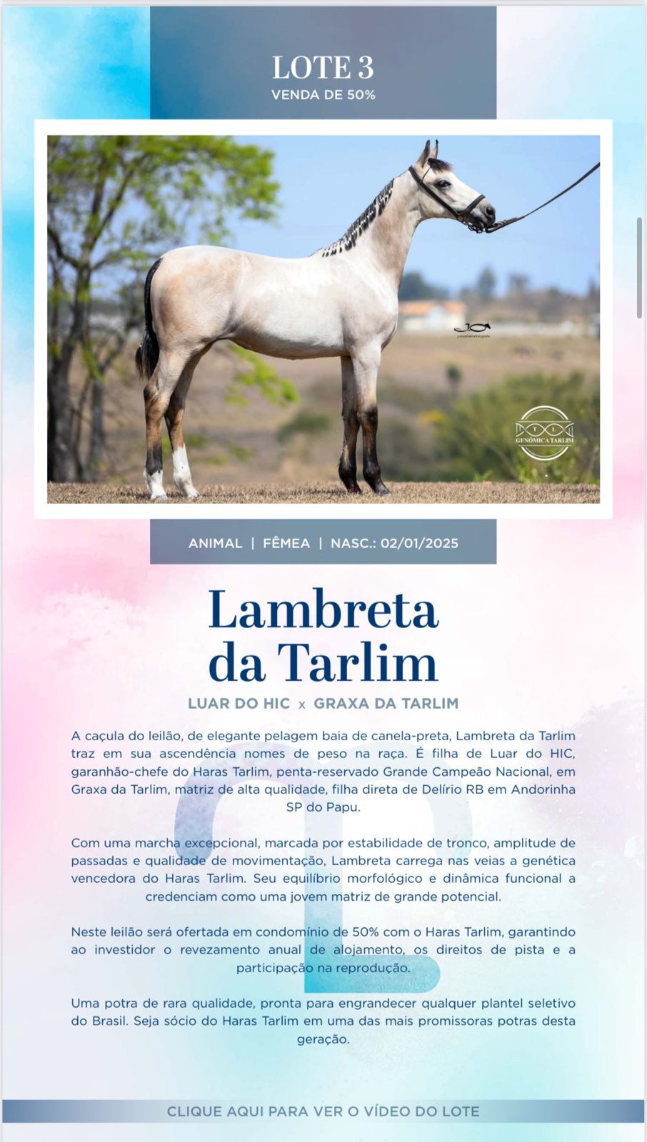 Foto LAMBRETA DA TARLIM
