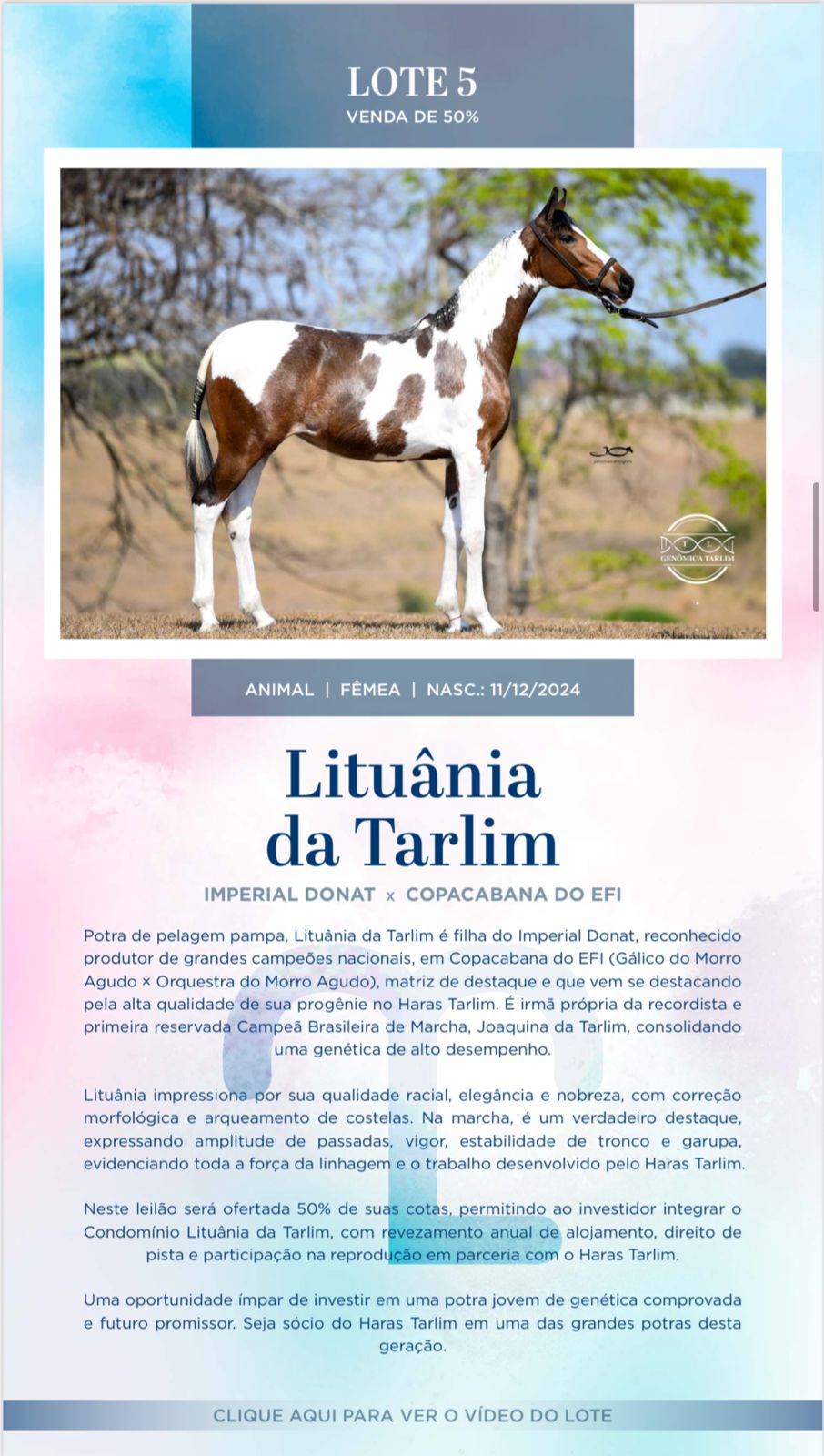 Foto LITUÂNIA DA TARLIM