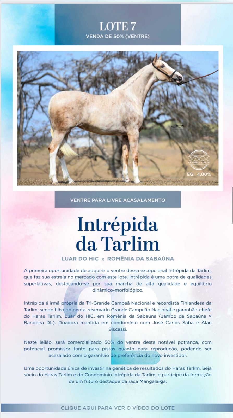 Foto INTRÉPIDA DA TARLIM