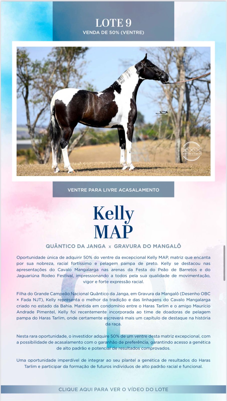 Foto KELLY MAP