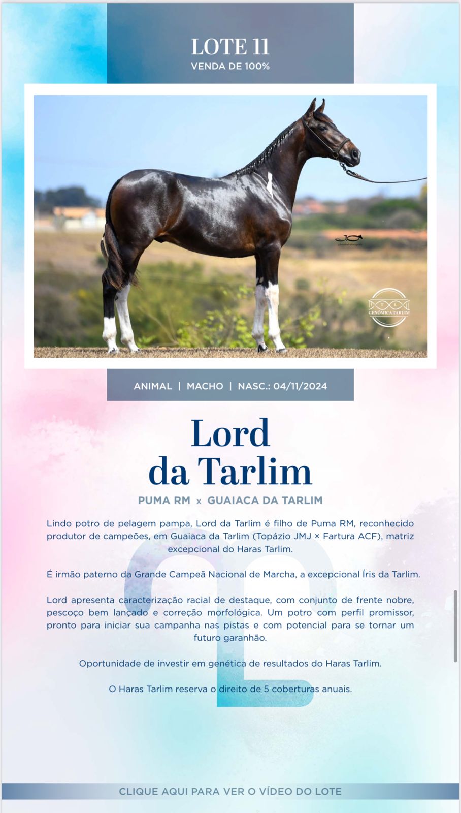 Foto LORD DA TARLIM