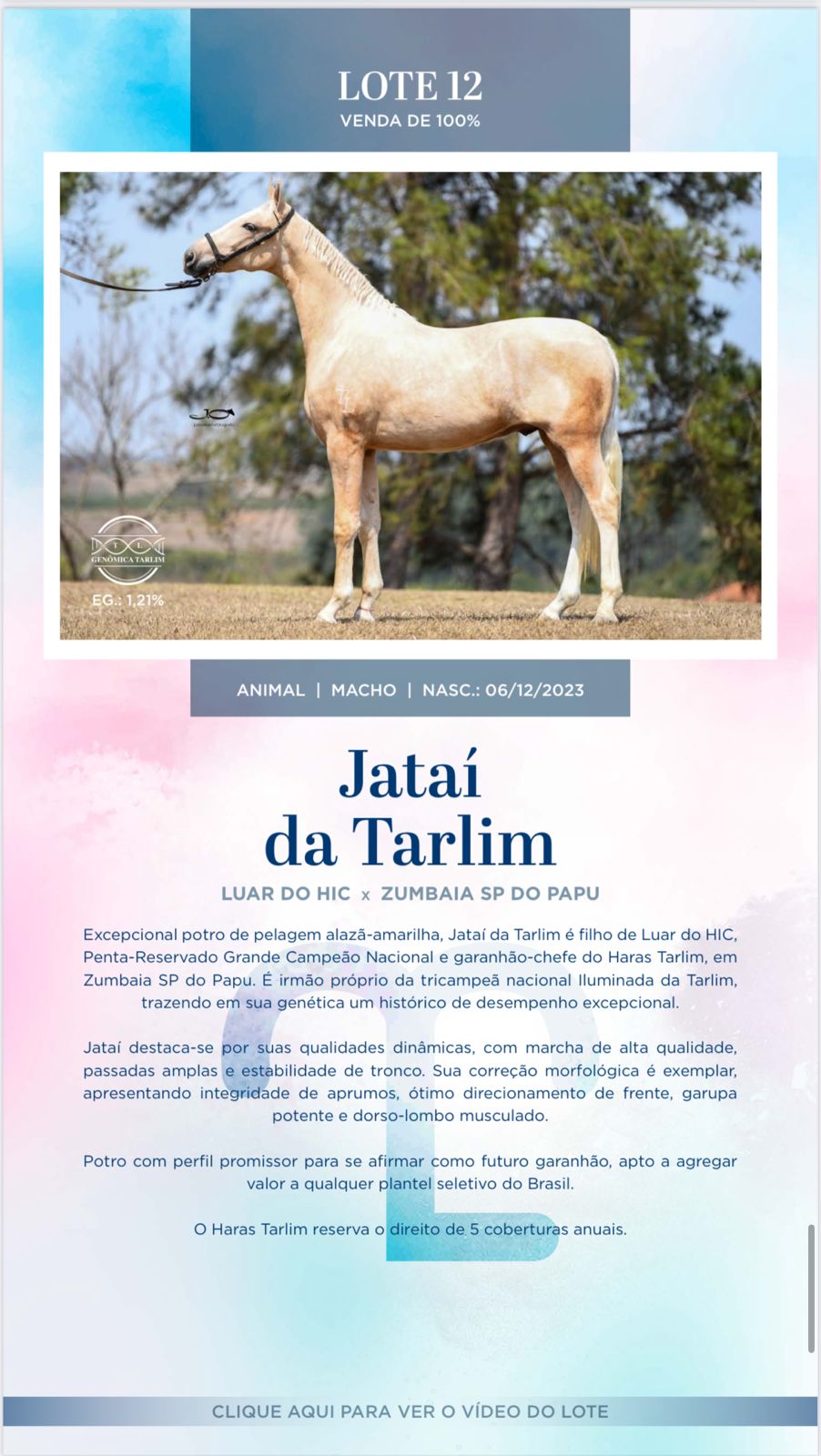 Foto JATAÍ DA TARLIM