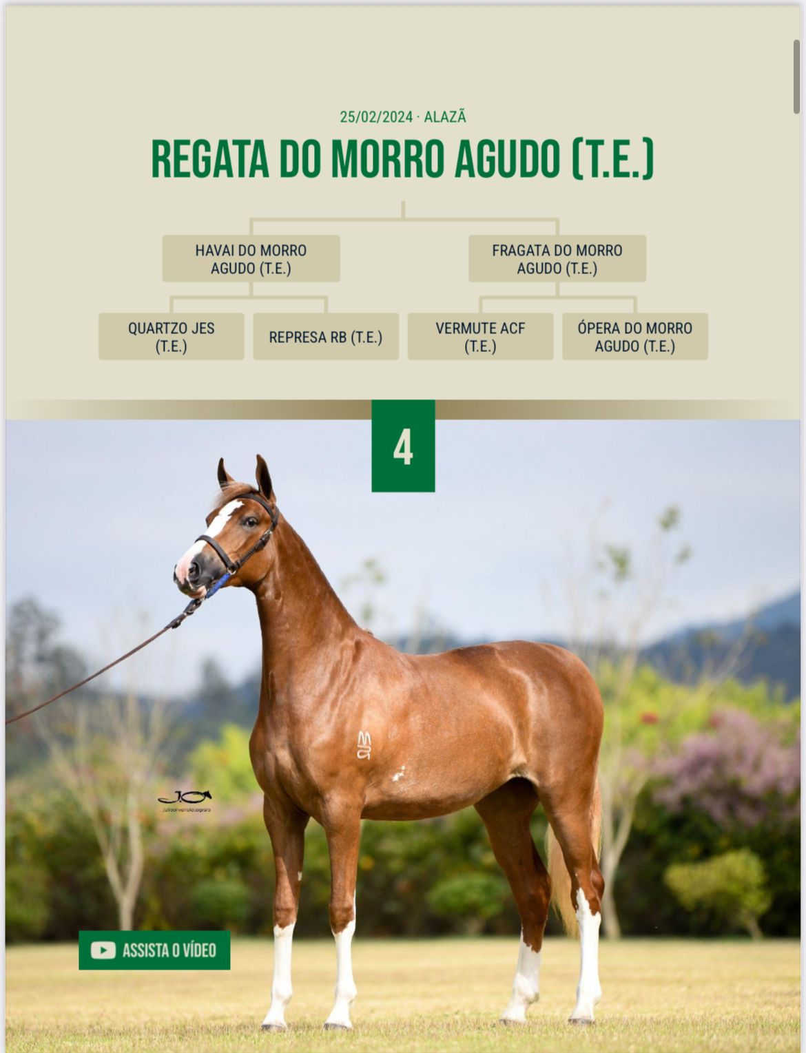 Foto REGATA DO MORRO AGUDO (T.E.)