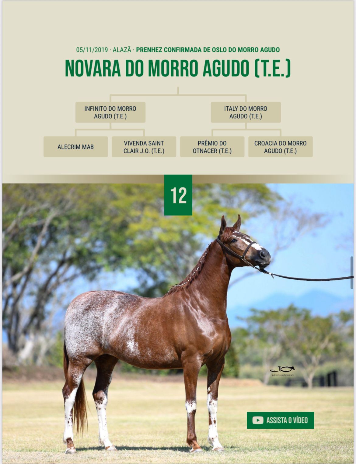 Foto NOVARA DO MORRO AGUDO (T.E.)