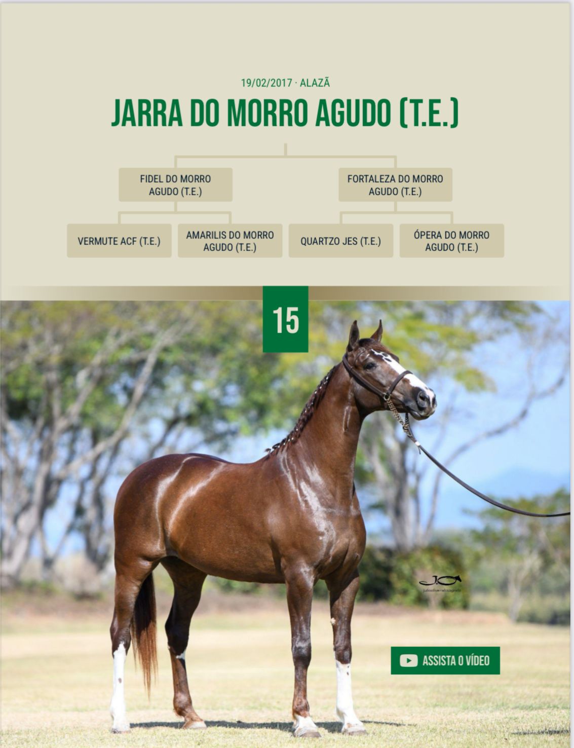 Foto JARRA DO MORRO AGUDO (T.E.)