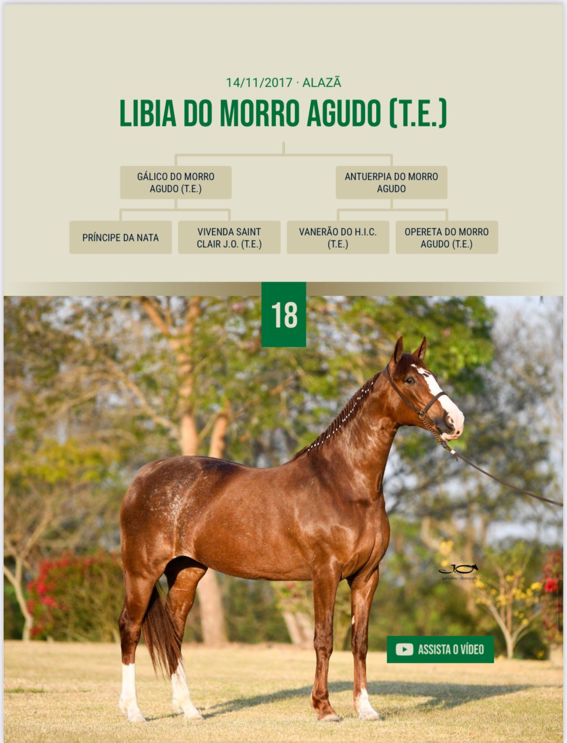 Foto LIBIA DO MORRO AGUDO (T.E.)