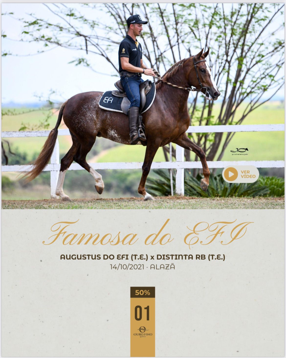 Foto (50.%) FAMOSA DO EFI