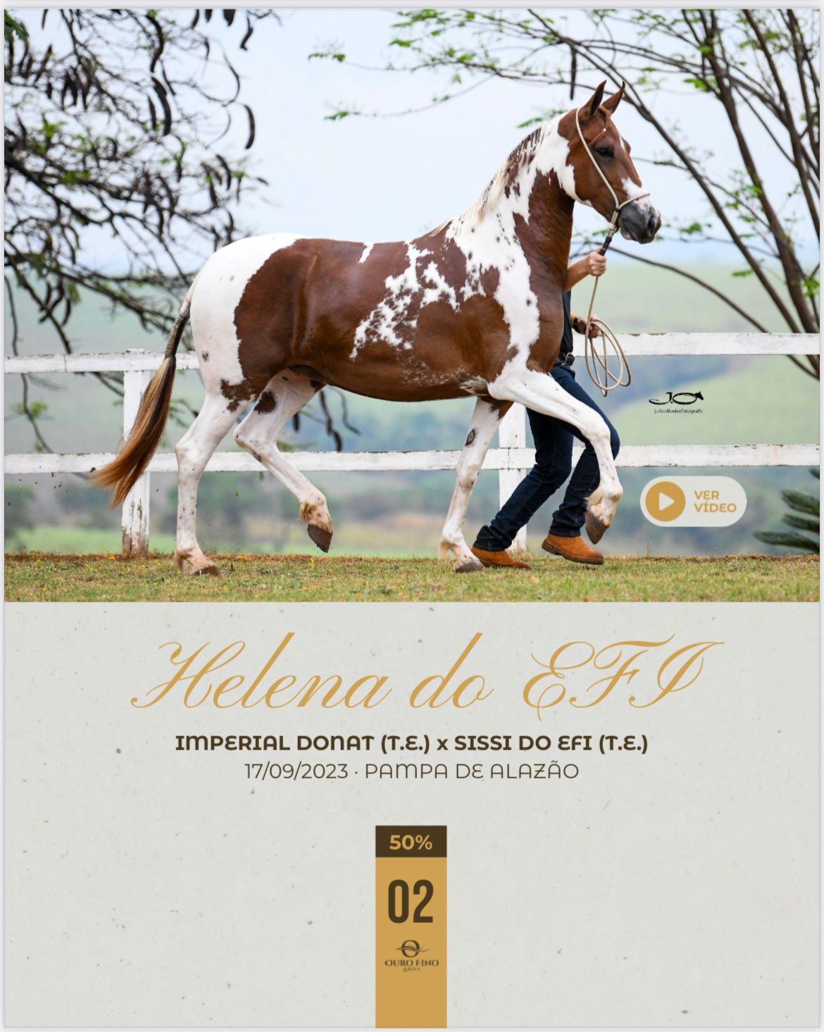 Foto (50.0% HELENA DO EFI