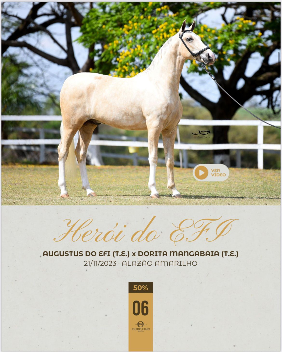 Foto (50.%)  HERÓI DO EFI