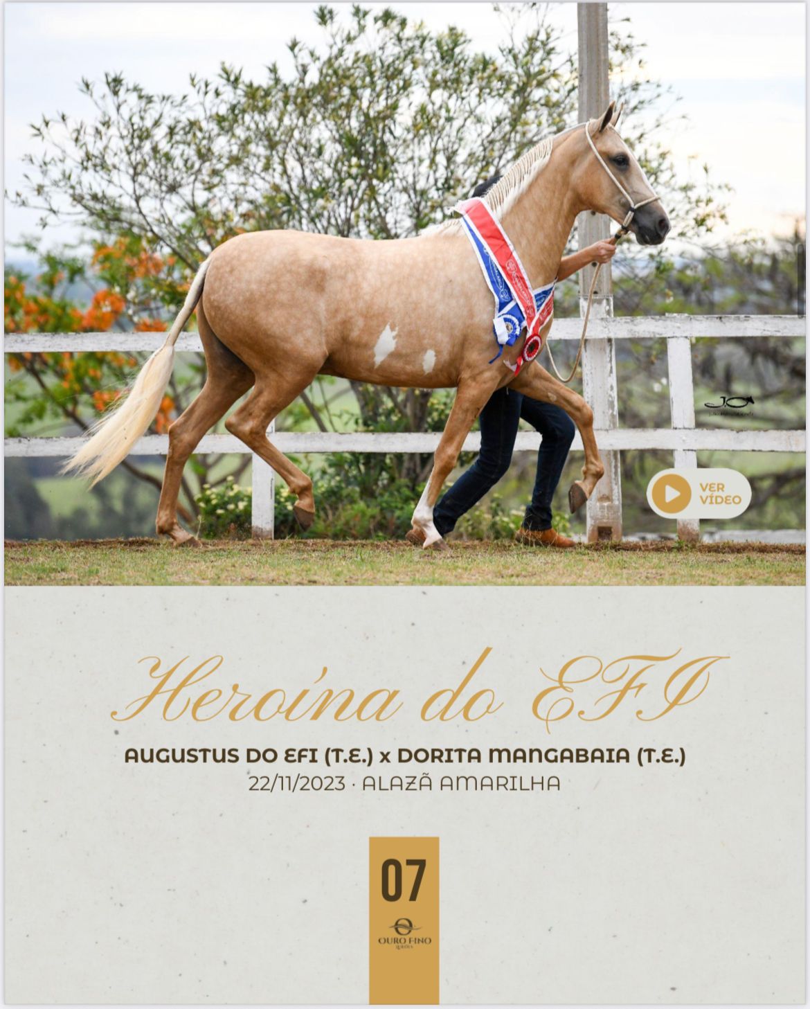 Foto HEROÍNA DO EFI