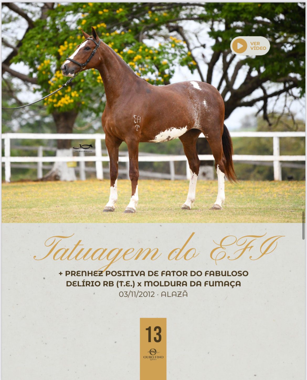 Foto TATUAGEM DO EFI