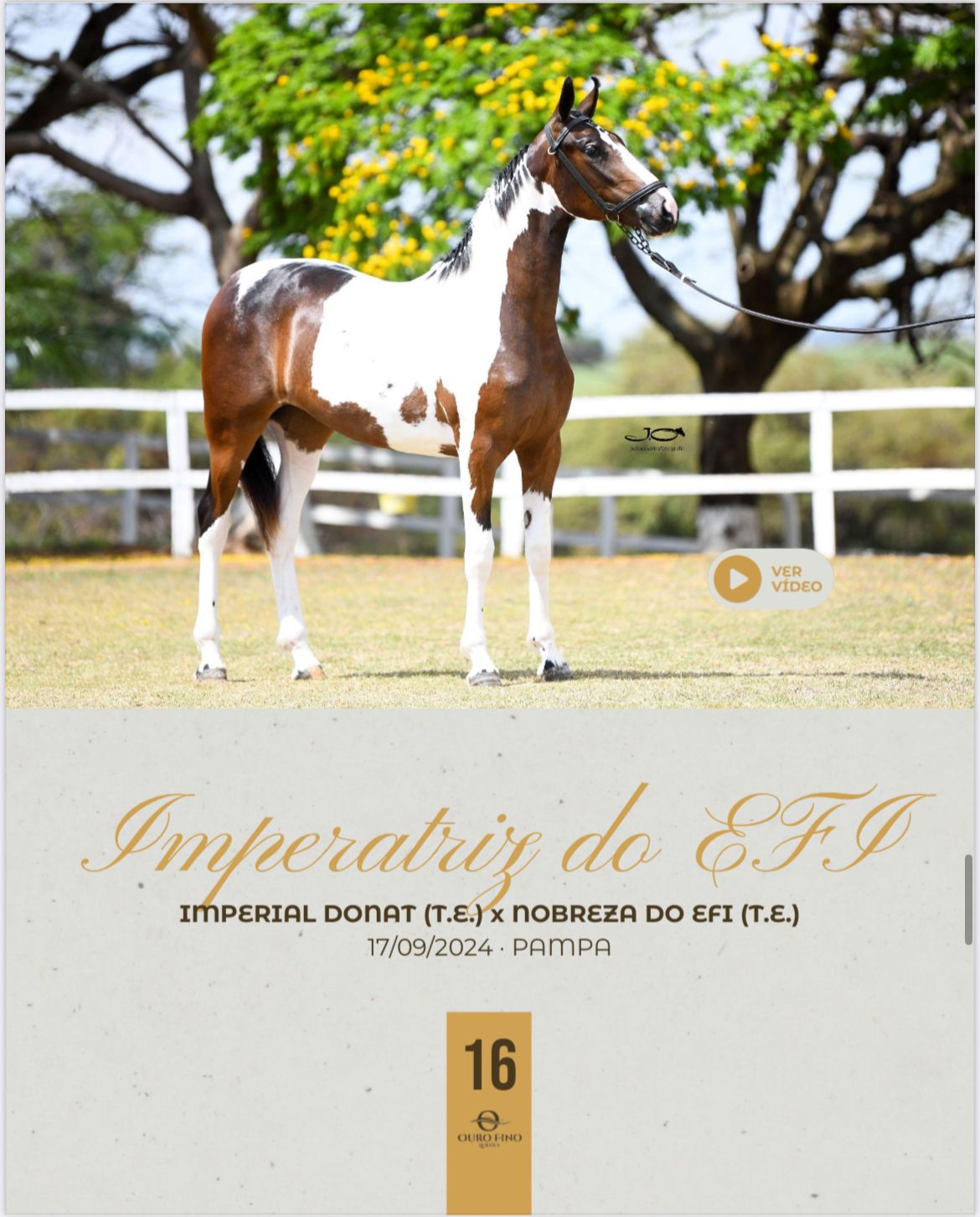 Foto IMPERATRIZ DO EFI