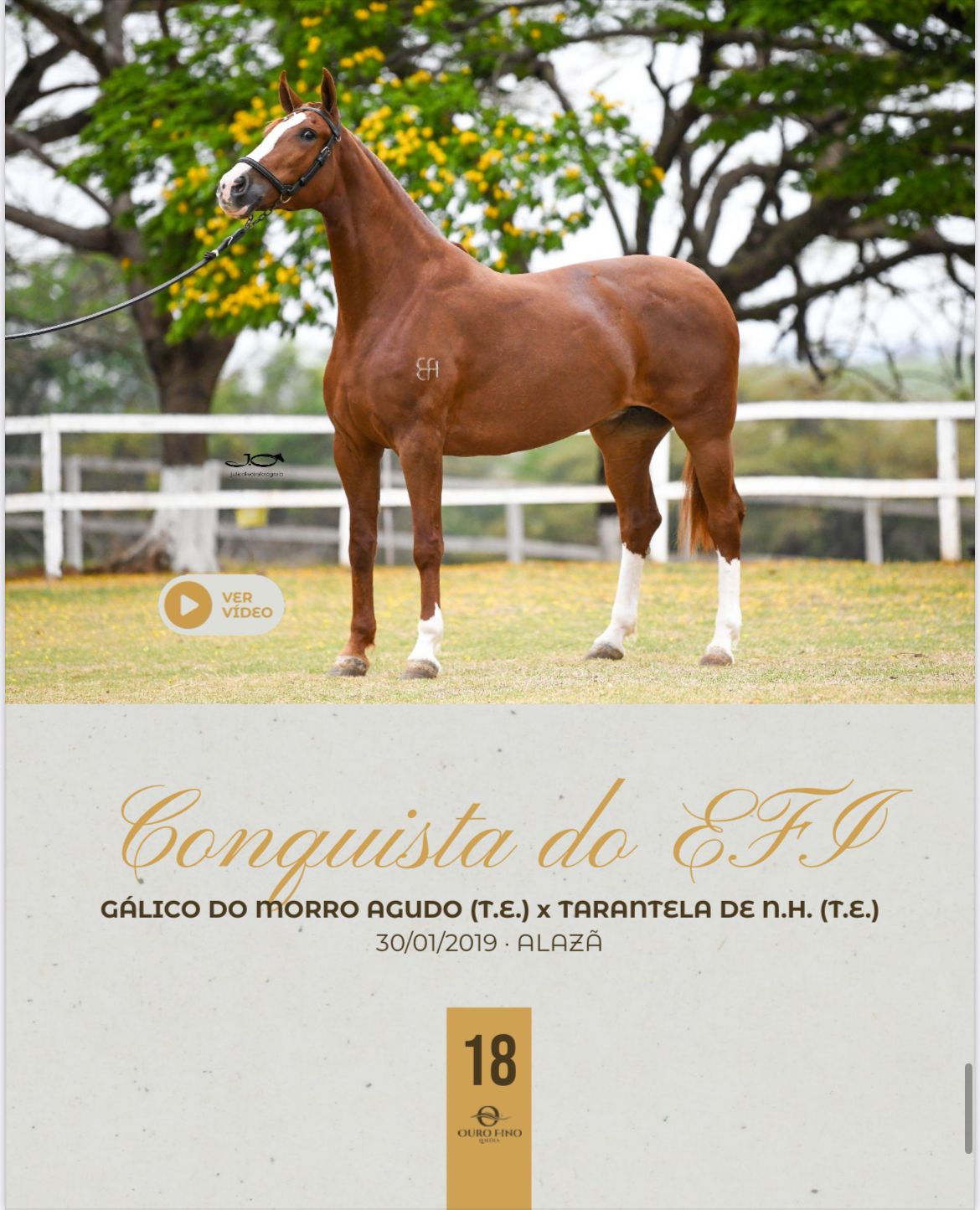 Foto CONQUISTA DO EFI