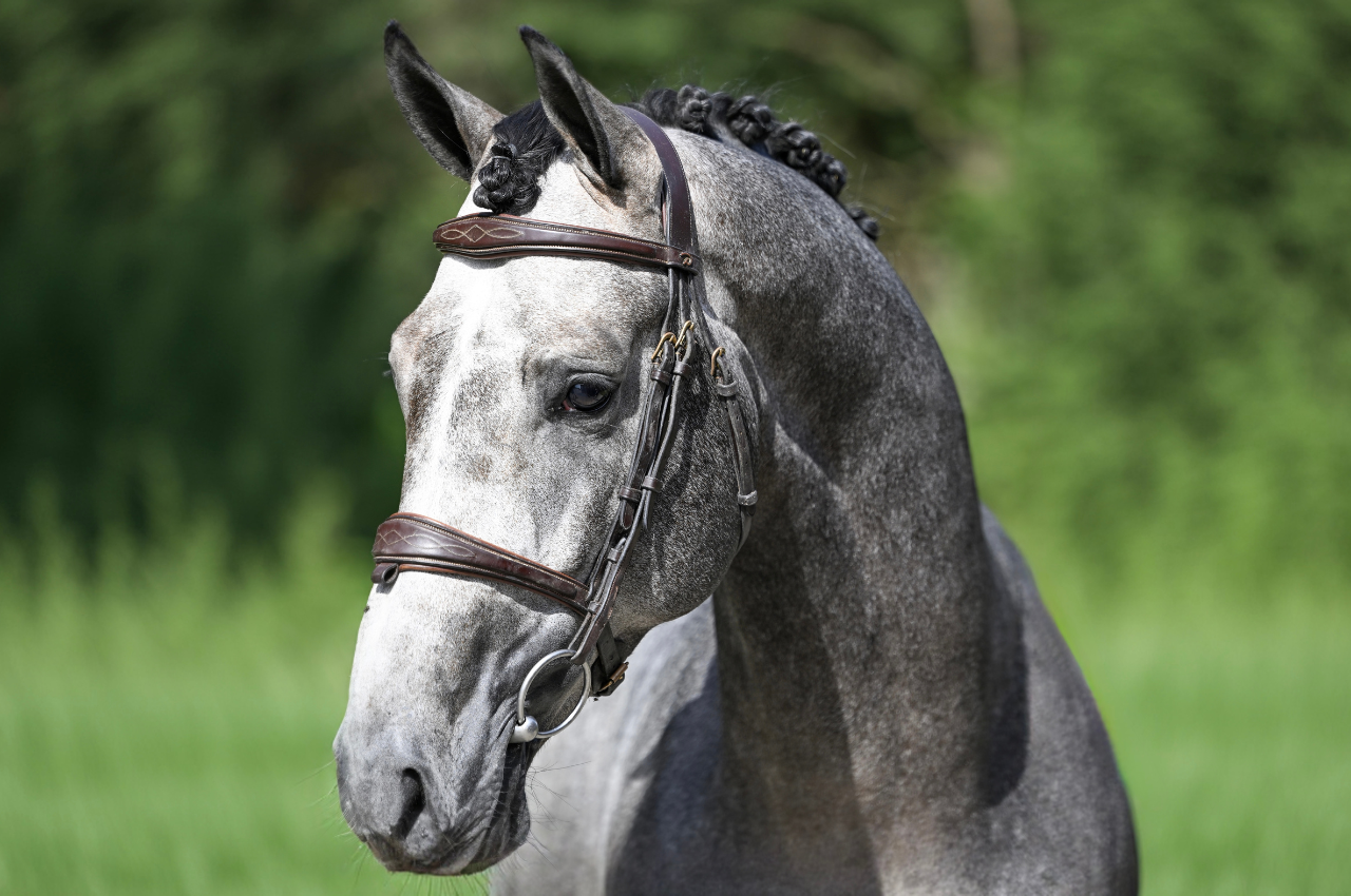 Foto VITAL CALL DE MUZE