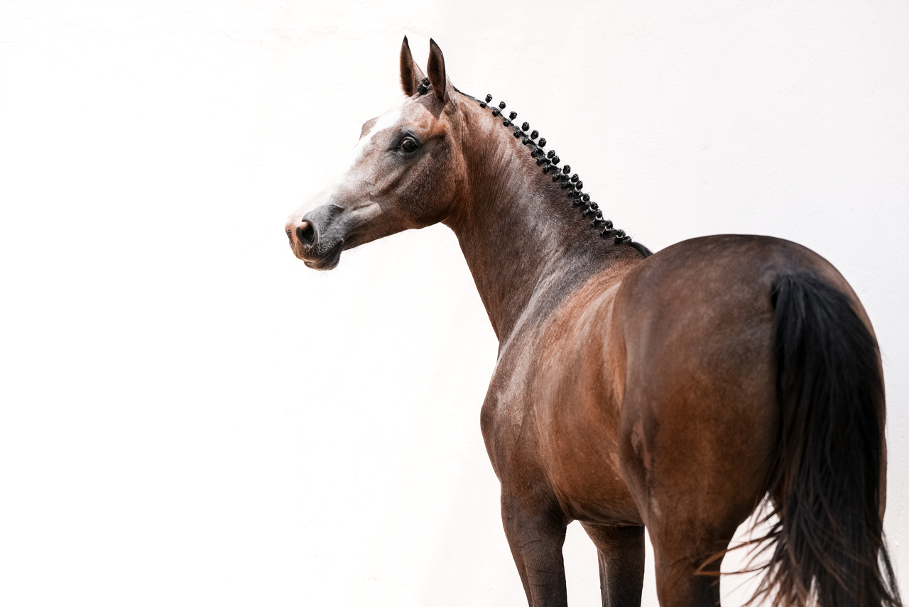 MINDELIS CARTHAGO DECAC