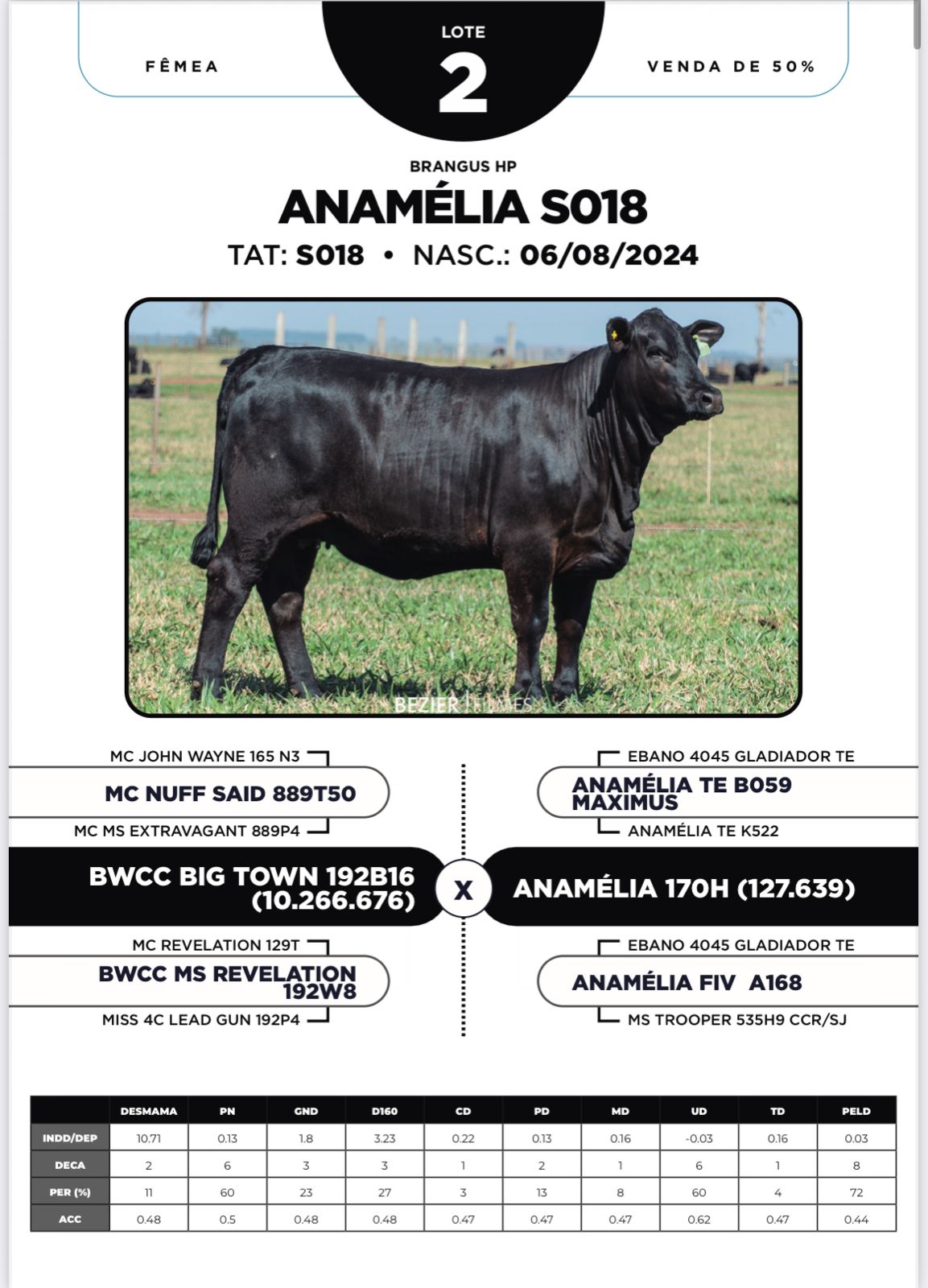 Foto (50.0%) ANAMÉLIA S018