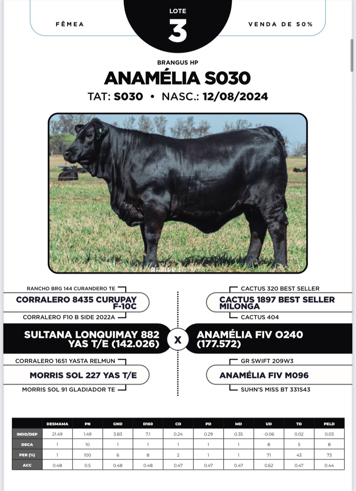 Foto (50.0%) ANAMÉLIA S030