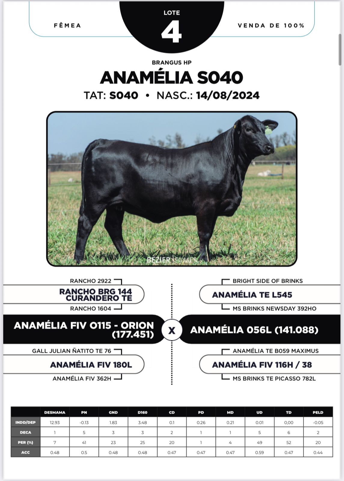 Foto (100%) ANAMÉLIA S040