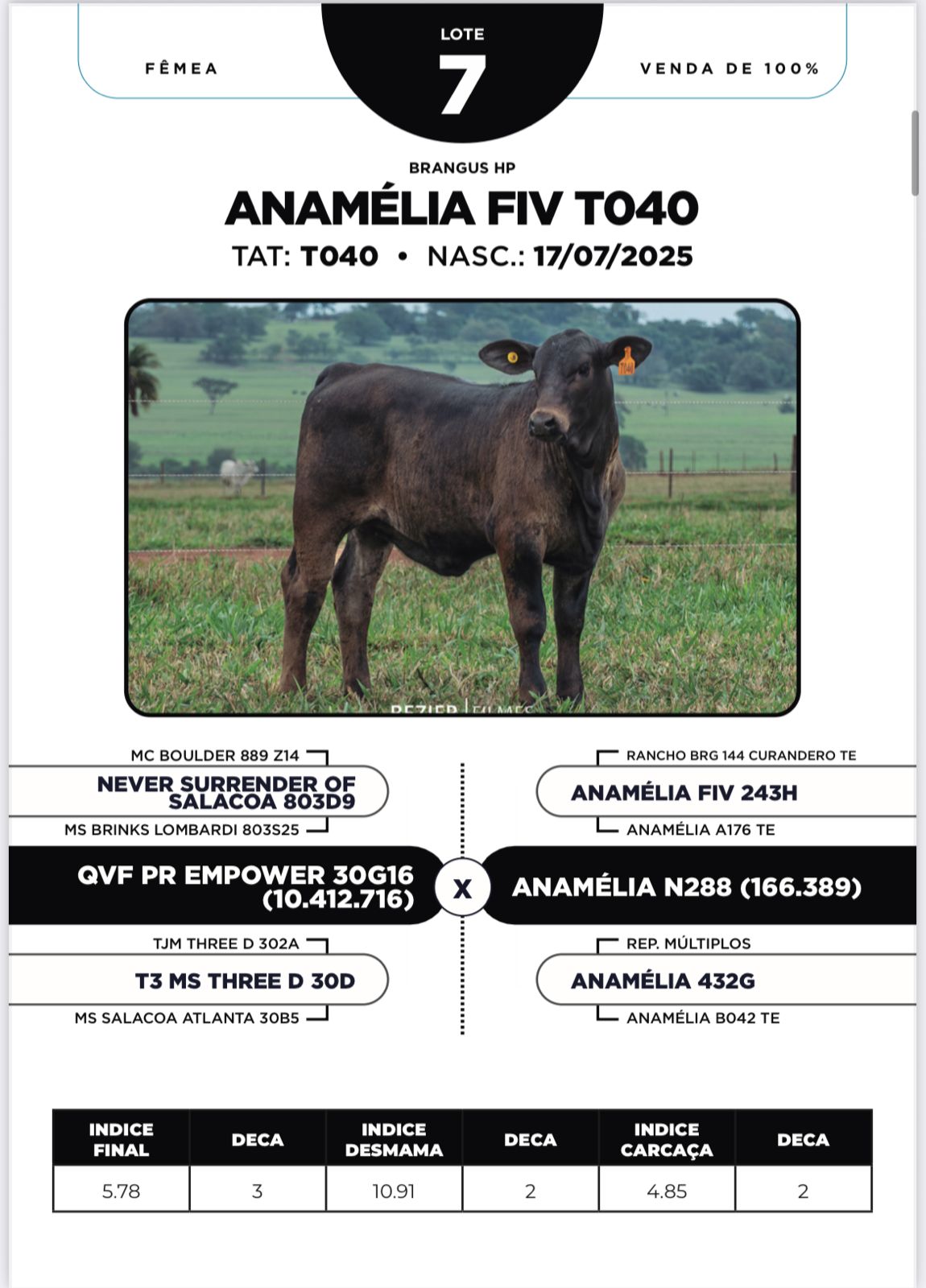 Foto (100%) ANAMÉLIA FIV T040