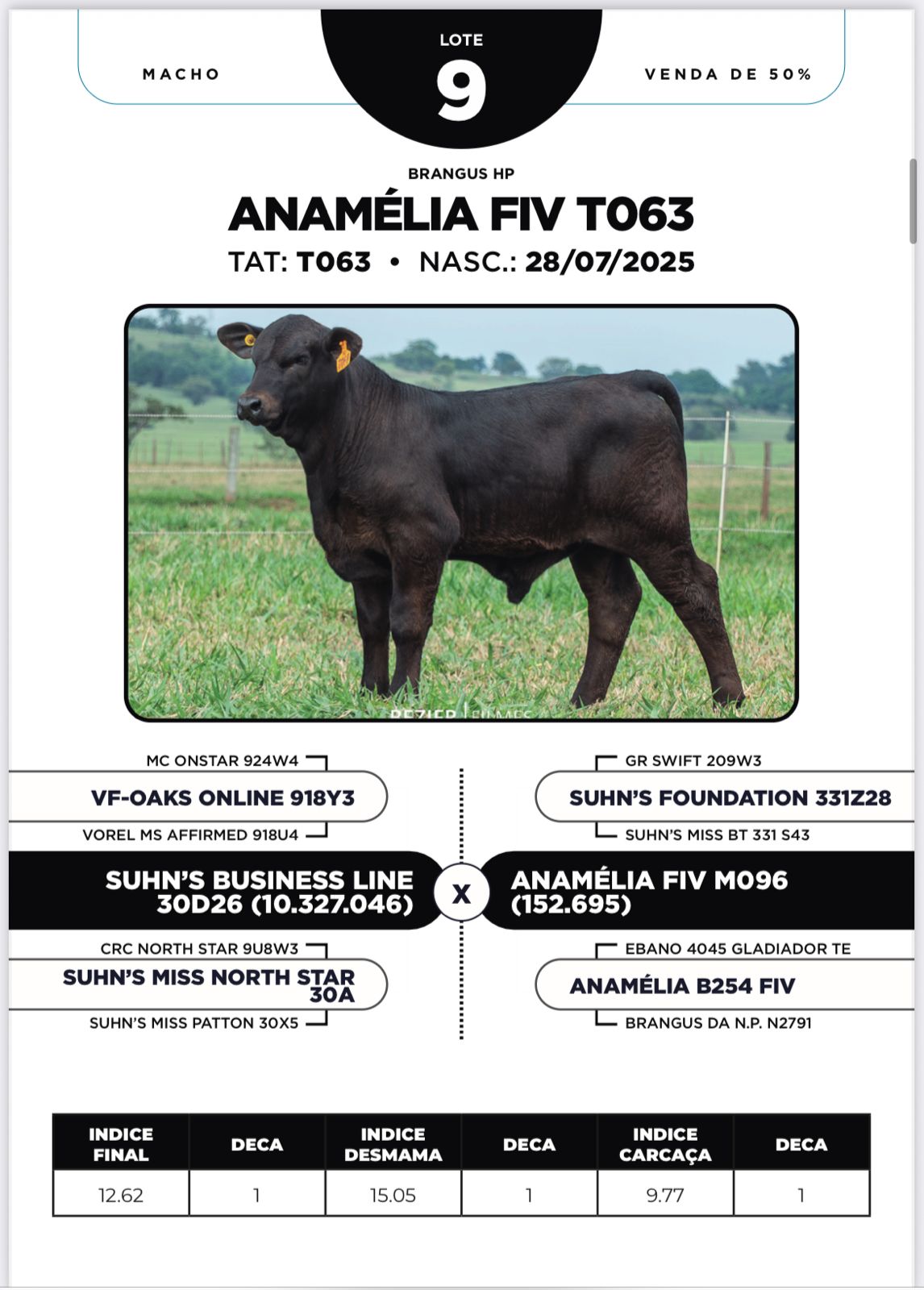 Foto (50.0%) ANAMÉLIA FIV T063