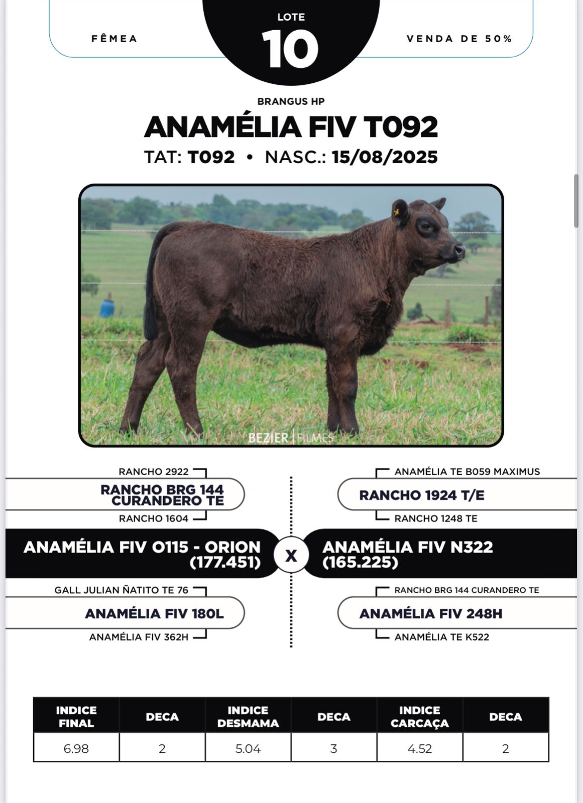 Foto (50.0%) ANAMÉLIA FIV T092