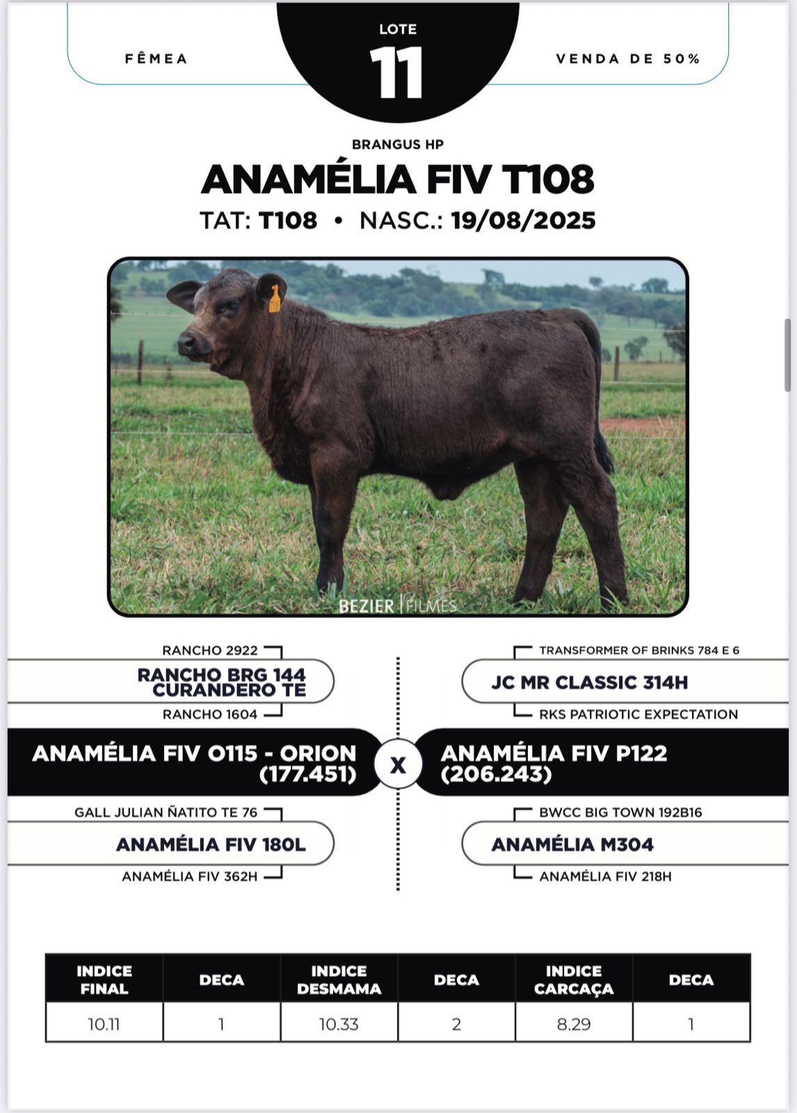 Foto (50.0%) ANAMÉLIA FIV T108