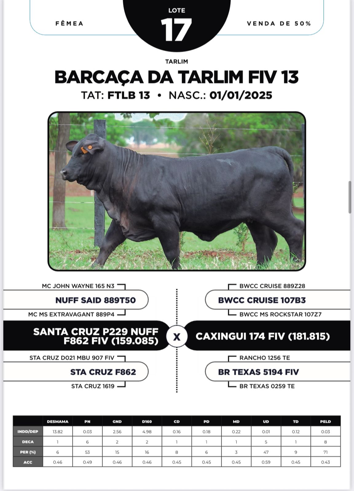 Foto (50.0%) BARCAÇA DA TARLIM FIV 13