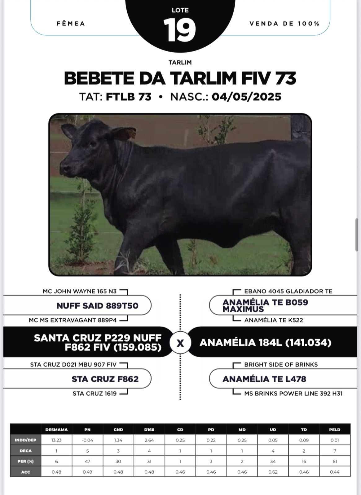 Foto (100%) BEBETE DA TARLIM FIV 73