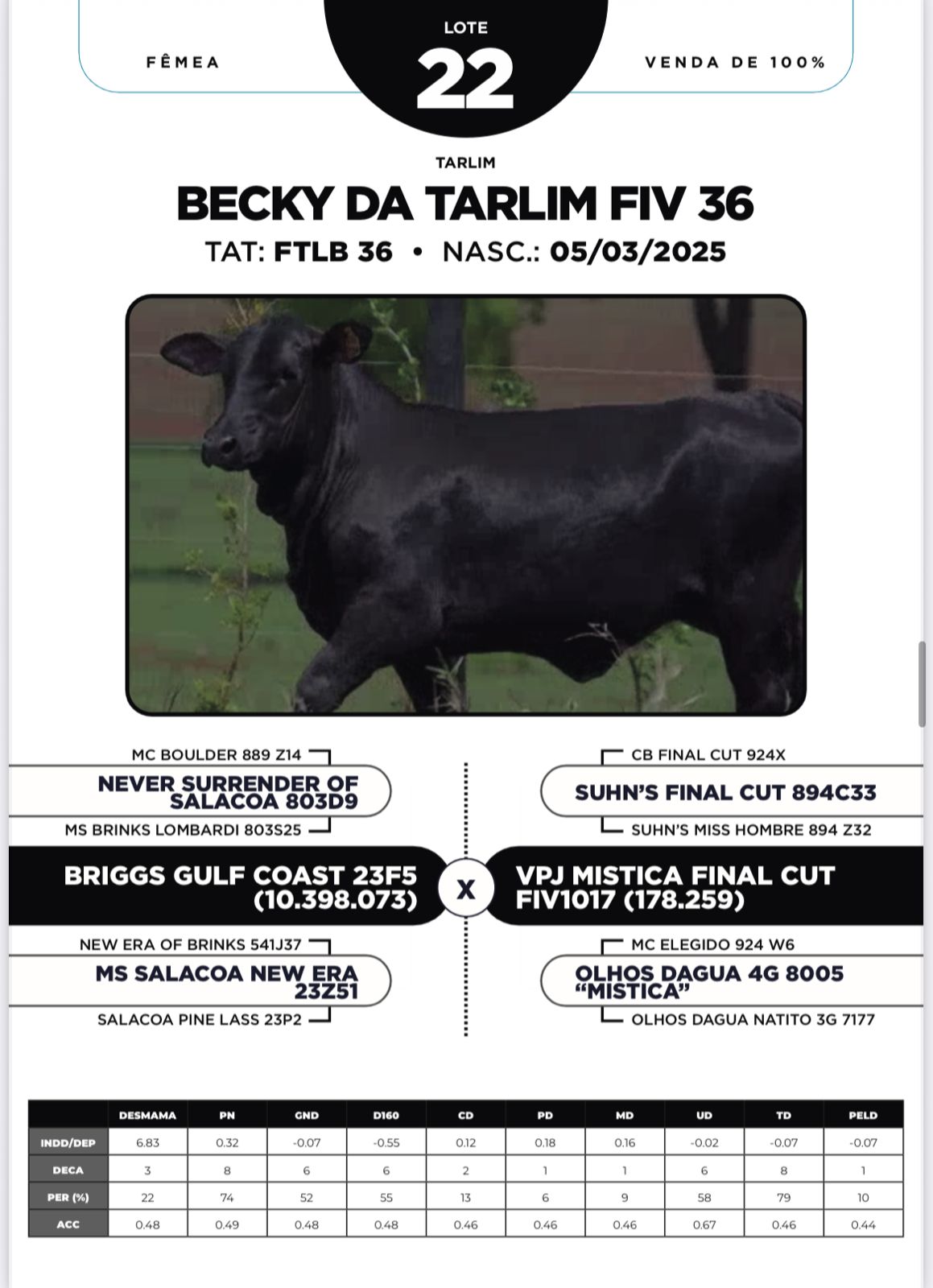Foto (100%) BECKY DA TARLIM FIV 36